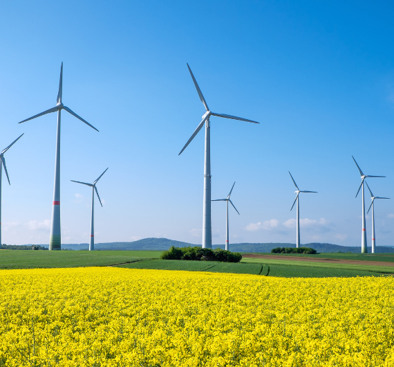 Sürdürülebilirlik Güler Grup İnşaat